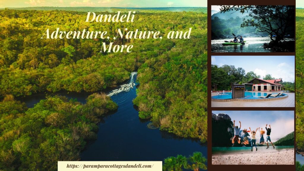 Dandeli travel, Adventure, Nature, and More