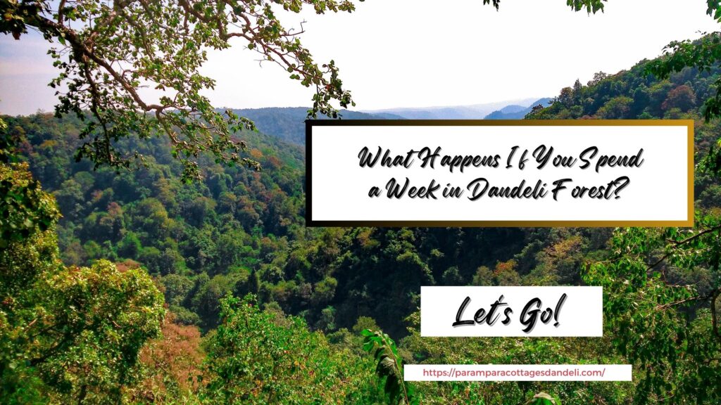 Explore Dandeli Forests with Parampara Resort