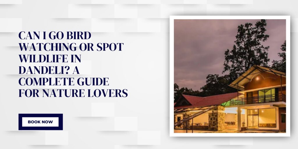 Can I Go Bird Watching or Spot Wildlife in Dandeli A Complete Guide for Nature Lovers