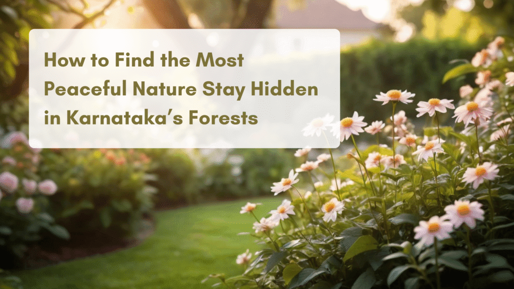 How to Find the Most Peaceful Nature Stay Hidden in Karnataka’s Forests