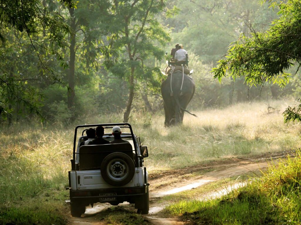Dandeli Jungle Safari