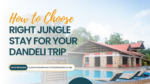 dandeli resorts