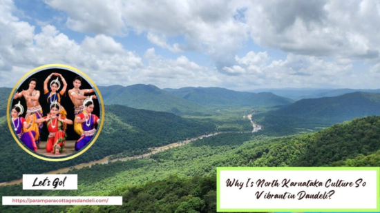 dandeli resort