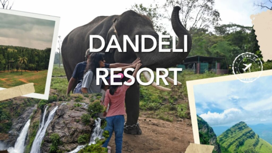 dandeli resort