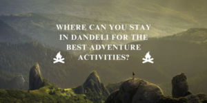 Dandelo Resort