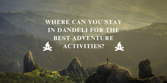Dandelo Resort