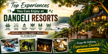 dandeli resort