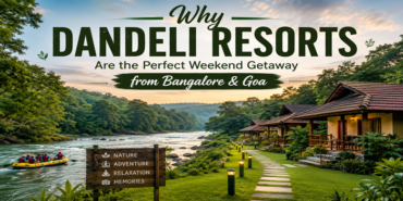 dandeli resort