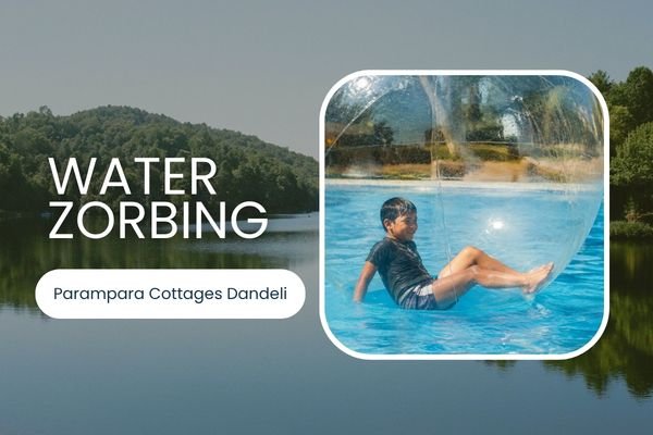 water zorbing in dandeli