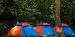 Camping Tents Dandeli resort